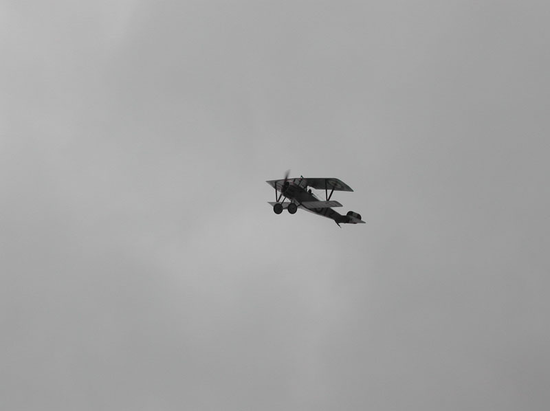 13_DSCN3771